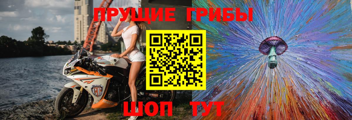 Галлюциногенные грибы MAGIC MUSHROOMS Братск